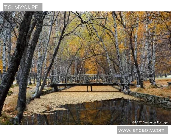 探索埃斯特旺的魅力与历史遗迹，感受独特文化与自然风光的完美融合